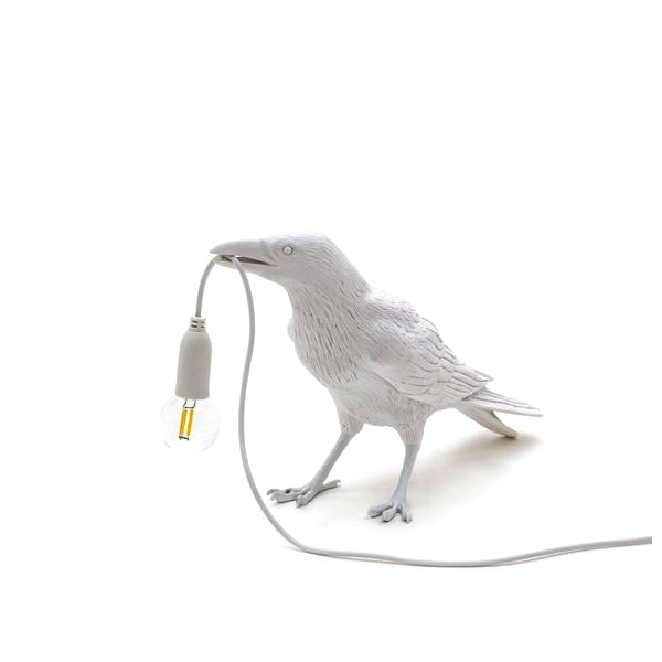 bird