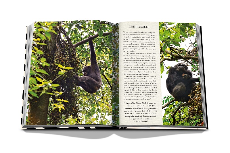 книга assouline african adventures the greatest safari on earth