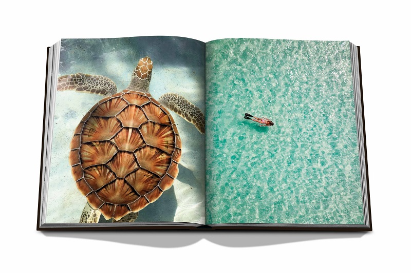 книга assouline jamaica vibes