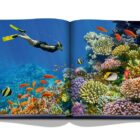 книга assouline ocean wanderlust
