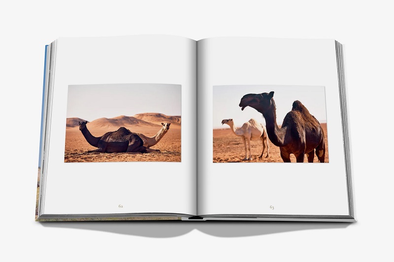 книга assouline camels from saudi arabia classic