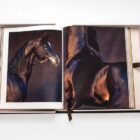 книга assouline horses from saudi arabia