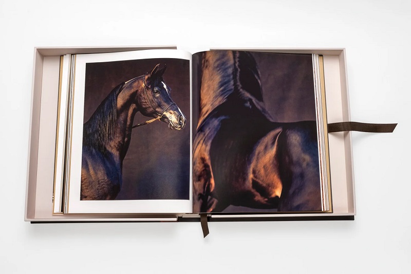 книга assouline horses from saudi arabia