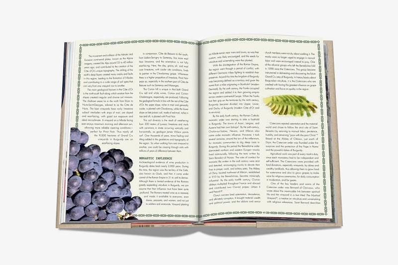 книга assouline the 100 burgundy