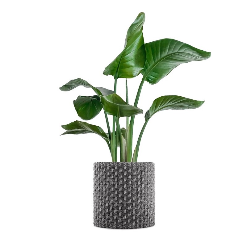 кашпа kartell kleo grey