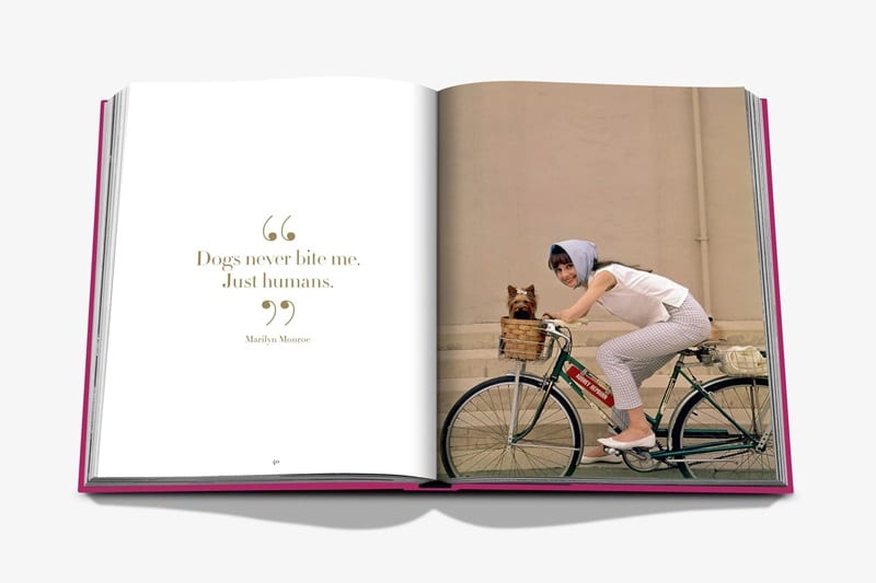 книга assouline chic dogs